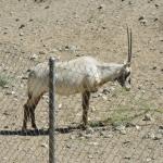 FITS_192 (May 04, 2019)